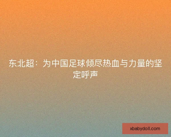 东北超：为中国足球倾尽热血与力量的坚定呼声