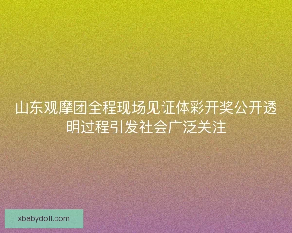 山东观摩团全程现场见证体彩开奖公开透明过程引发社会广泛关注
