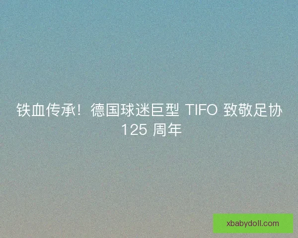 铁血传承！德国球迷巨型 TIFO 致敬足协 125 周年